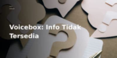 Ketiadaan Informasi Mengenai Voicebox by jamiepine (Berdasarkan Referensi yang Diberikan)