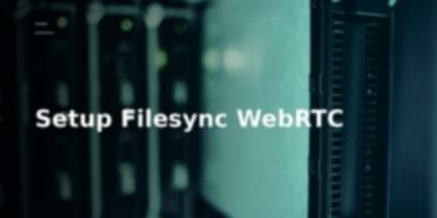 P2P File Sharing Tanpa Batas Ukuran: Ulasan Teknikal Filesync